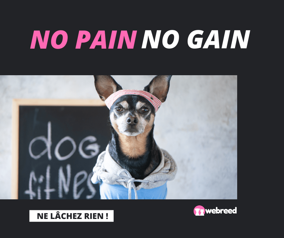 no pain no gain