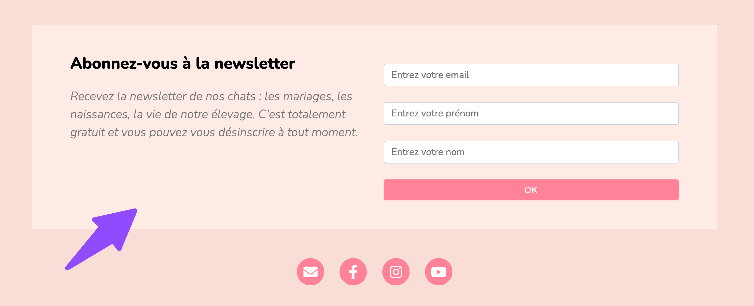 bloc newsletter site éleveur Webreed