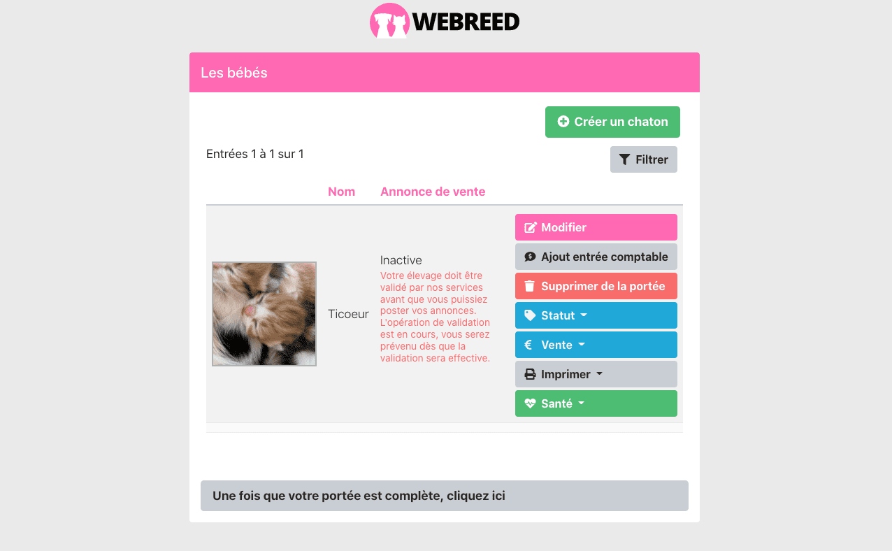 créer chaton / chiot webreed