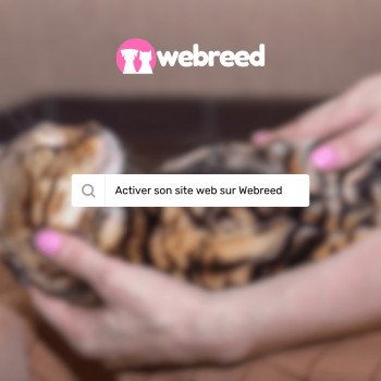 Activer votre site internet d'éleveur sur Webreed