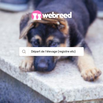 Départ des chiots - chatons, sortie de l'élevage & du registre