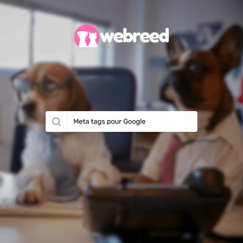 Bien référencer son élevage dans Google : les balises Meta
