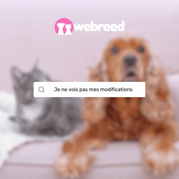 Je ne vois pas les modifications apportées à ma page !