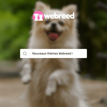 Nouveaux thèmes pour votre site d'élevage