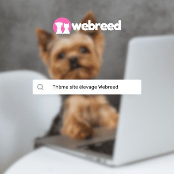 Choisir un thème pour votre site d'élevage et le personnaliser
