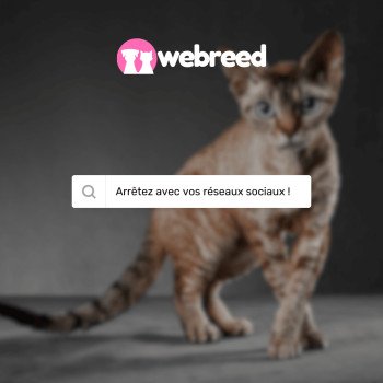 Visibilité de votre élevage sur internet : réseaux sociaux, une fausse bonne idée ?